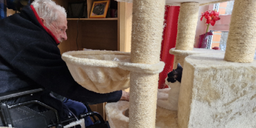 Wunschfahrt zur Verabschiedung vom Kater